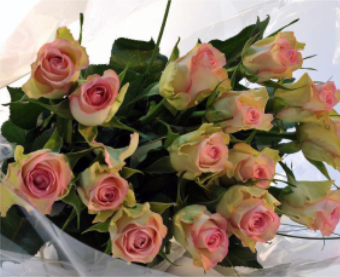Boeket rozen