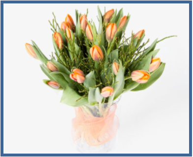 Boeket tulpen